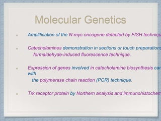 Molecular Genetics
Amplification of the N-myc oncogene detected by FISH techniqu
Catecholamines demonstration in sections or touch preparations
formaldehyde-induced fluorescence technique.
Expression of genes involved in catecholamine biosynthesis can
with
the polymerase chain reaction (PCR) technique.
Trk receptor protein by Northern analysis and immunohistochem
 