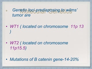 Molecular GeneticsGenetic loci predisposing to wilms’
tumor are
• WT1 ( located on chromosome 11p 13
)
• WT2 ( located on chromosome
11p15.5)
• Mutations of B catenin gene-14-20%
 
