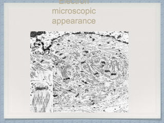 Electron
microscopic
appearance
 