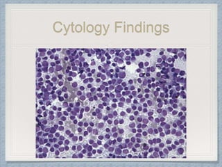 Cytology Findings
 