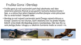 Fruška Gora i Đerdap
• Fruška gora je naš nacionalni park koji obuhvata veći deo
istoimene planine.Poznat je po gustim šumama bukve,hrasta i
lipe, a u njima žive jeleni lopatari,mufloni,brojne vrste ptica,kao
što su orao krstaš i stepski soko.
• Đerdap je naš najveći nacionalni park.Činega najveća klisura u
Evropi i jezero na reci Dunav, čijim obalama živi na preko hiljadu
biljnih vrsta.Vode đerdapskog jezera naseljavljaju ribe kao što su
som,kečiga,štuka i druge,a u okolnim šumama može se sresti i ris.
Stepski soko Orao Krstaš
Đerdapska klisura
Đerdapsko jezero
 