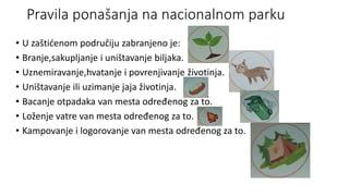 Pravila ponašanja na nacionalnom parku
• U zaštićenom područiju zabranjeno je:
• Branje,sakupljanje i uništavanje biljaka.
• Uznemiravanje,hvatanje i povrenjivanje životinja.
• Uništavanje ili uzimanje jaja životinja.
• Bacanje otpadaka van mesta određenog za to.
• Loženje vatre van mesta određenog za to.
• Kampovanje i logorovanje van mesta određenog za to.
 