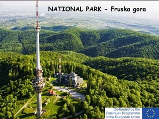 NATIONAL PARK - Fruska gora
 