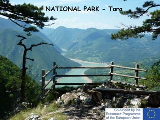 NATIONAL PARK - Tara
 