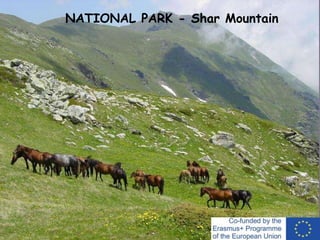 -
NATIONAL PARK - Shar Mountain
 