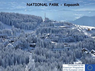 NATIONAL PARK - Kopaonik
 