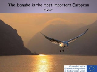 The Danube is the most important European
river
 
