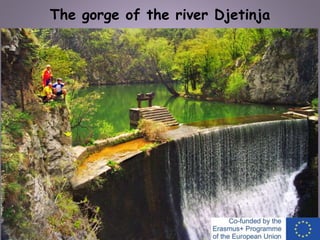 The gorge of the river Djetinja
 