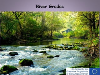 River Gradac
 