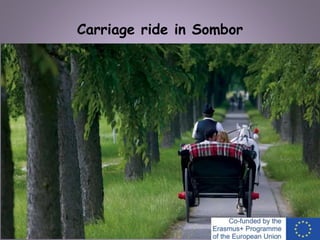 Carriage ride in Sombor
 