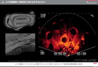 より高精細かつ実効的に見える化するには？
10
東京都大田区 洗足池公園における水中調査結果
さくらインターネット研究所調べ (2020年11月現在)
より詳細をリアルタイムに解析することも可能 (三次元ライブ魚群探知機/動画の保存)
Garmin GPSMAP8410xsv + GT54UHD-TM CHIRP transducer (455kHz) + Panoptix LVS32 Transducer
 