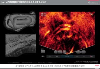 より高精細かつ実効的に見える化するには？
11
東京都大田区 洗足池公園における水中調査結果
さくらインターネット研究所調べ (2020年11月現在)
より詳細をリアルタイムに解析することも可能 (三次元ライブ魚群探知機/動画の保存)
Garmin GPSMAP8410xsv + GT54UHD-TM CHIRP transducer (455kHz) + Panoptix LVS32 Transducer
 