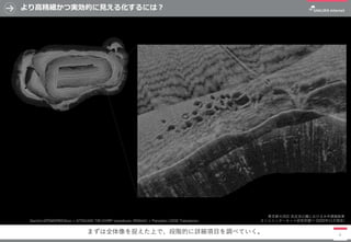 より高精細かつ実効的に見える化するには？
9
東京都大田区 洗足池公園における水中調査結果
さくらインターネット研究所調べ (2020年11月現在)
まずは全体像を捉えた上で、段階的に詳細項目を調べていく。
Garmin GPSMAP8410xsv + GT54UHD-TM CHIRP transducer (455kHz) + Panoptix LVS32 Transducer
 