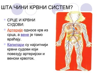 ШТА ЧИНИ КРВНИ СИСТЕМ?
 СРЦЕ

И КРВНИ
СУДОВИ:
 Артерије односе крв из
срца, а вене је тамо
враћају.
 Капилари су најситнији
крвни судови који
повезују артеријски и
венски крвоток.

 