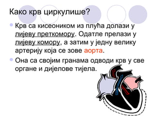 Како крв циркулише?
 Крв

са кисеоником из плућа долази у
лијеву преткомору. Одатле прелази у
лијеву комору, а затим у једну велику
артерију која се зове аорта.
 Она са својим гранама одводи крв у све
органе и дијелове тијела.

 