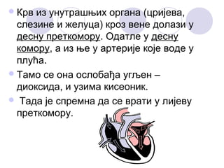  Крв

из унутрашњих органа (цријева,
слезине и желуца) кроз вене долази у
десну преткомору. Одатле у десну
комору, а из ње у артерије које воде у
плућа.
 Тамо се она ослобађа угљен –
диоксида, и узима кисеоник.
 Тада је спремна да се врати у лијеву
преткомору.

 