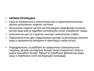 Srce | PPT