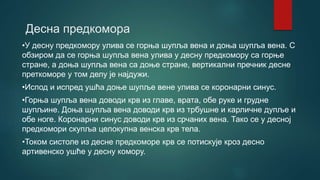 Десна предкомора
•У десну предкомору улива се горња шупља вена и доња шупља вена. С
обзиром да се горња шупља вена улива у десну предкомору са горње
стране, а доња шупља вена са доње стране, вертикални пречник десне
преткоморе у том делу је најдужи.
•Испод и испред ушћа доње шупље вене улива се корoнарни синус.
•Горња шупља вена доводи крв из главе, врата, обе руке и грудне
шупљине. Доња шупља вена доводи крв из трбушне и карличне дупље и
обе ноге. Коронарни синус доводи крв из срчаних вена. Тако се у десној
предкомори скупља целокупна венска крв тела.
•Током систоле из десне предкомoре крв се потискује кроз десно
артивенско ушће у десну комору.
 