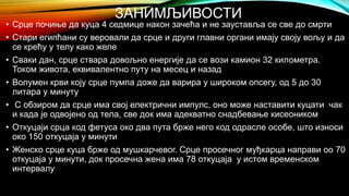Срце - Драшковић А. | PPT