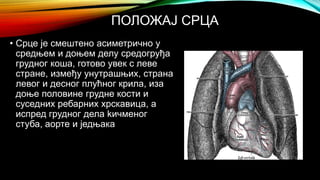 Срце - Драшковић А. | PPT