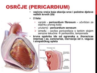 OSRČJE (PERICARDIUM)
•

vezivna vreća koja obavija srce i početne djelove
velikih krvnih žila

•

2 lista:
•

•

vanjski - pericardium fibrosum – učvršćen za
stijenku prsnog koša
• unutarnji - pericardium serosum
 između - cavitas pericardiaca s tankim slojem
serozne tekućine  perikarditis, tamponada
krvna opskrba ide od ogranaka a. thoracicae
internae i aa. coronariae, inervacija od n. vagusa
i simpatičkog spleta

 