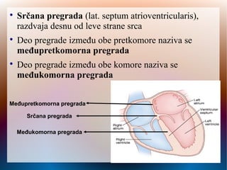 
Srčana pregrada (lat. septum atrioventricularis),
razdvaja desnu od leve strane srca

Deo pregrade između obe pretkomore naziva se
međupretkomorna pregrada

Deo pregrade između obe komore naziva se
međukomorna pregrada
Međupretkomorna pregrada
Srčana pregrada
Međukomorna pregrada
 