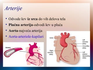 Arterije

Odvode krv iz srca do vih delova tela

Plućna arterija-odvodi krv u pluća

Aorta-najveća arterija

Aorta-arteriole-kapilari
 