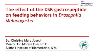 The effect of the DSK gastro-peptide
on feeding behaviors in Drosophila
Melanogaster
By: Christina Mary Joseph
Mentor: Dr. Monica Dus, Ph.D
Skirball Institute of BioMedicine, NYU
 