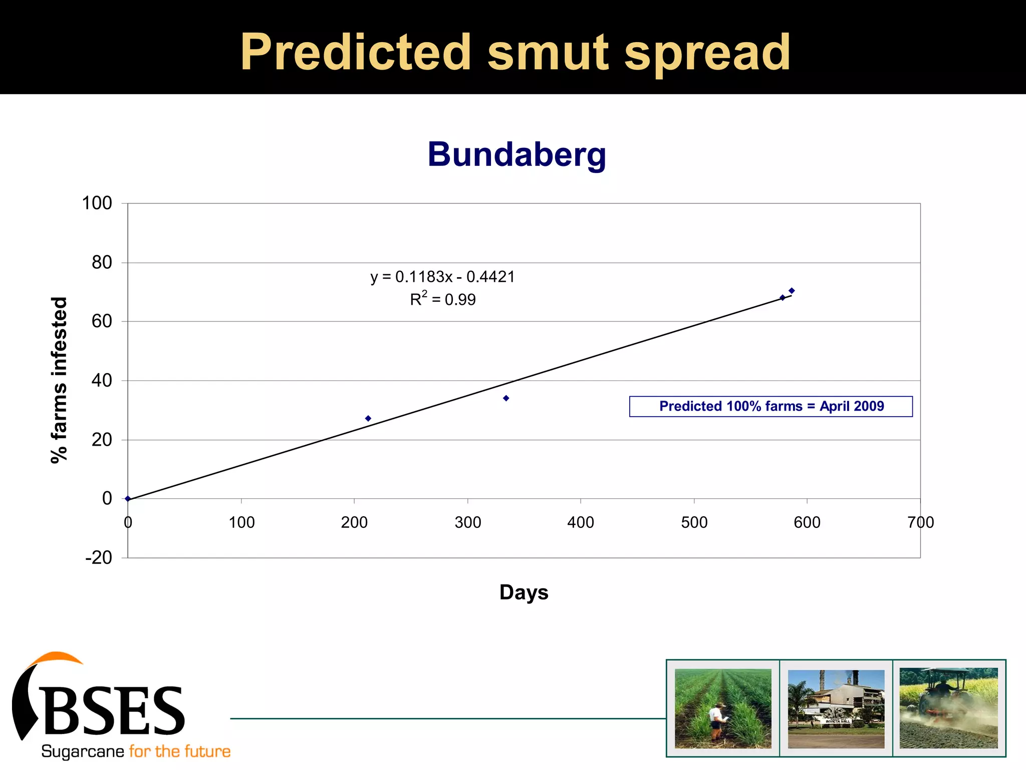 Predicted smut spread Bundaberg 