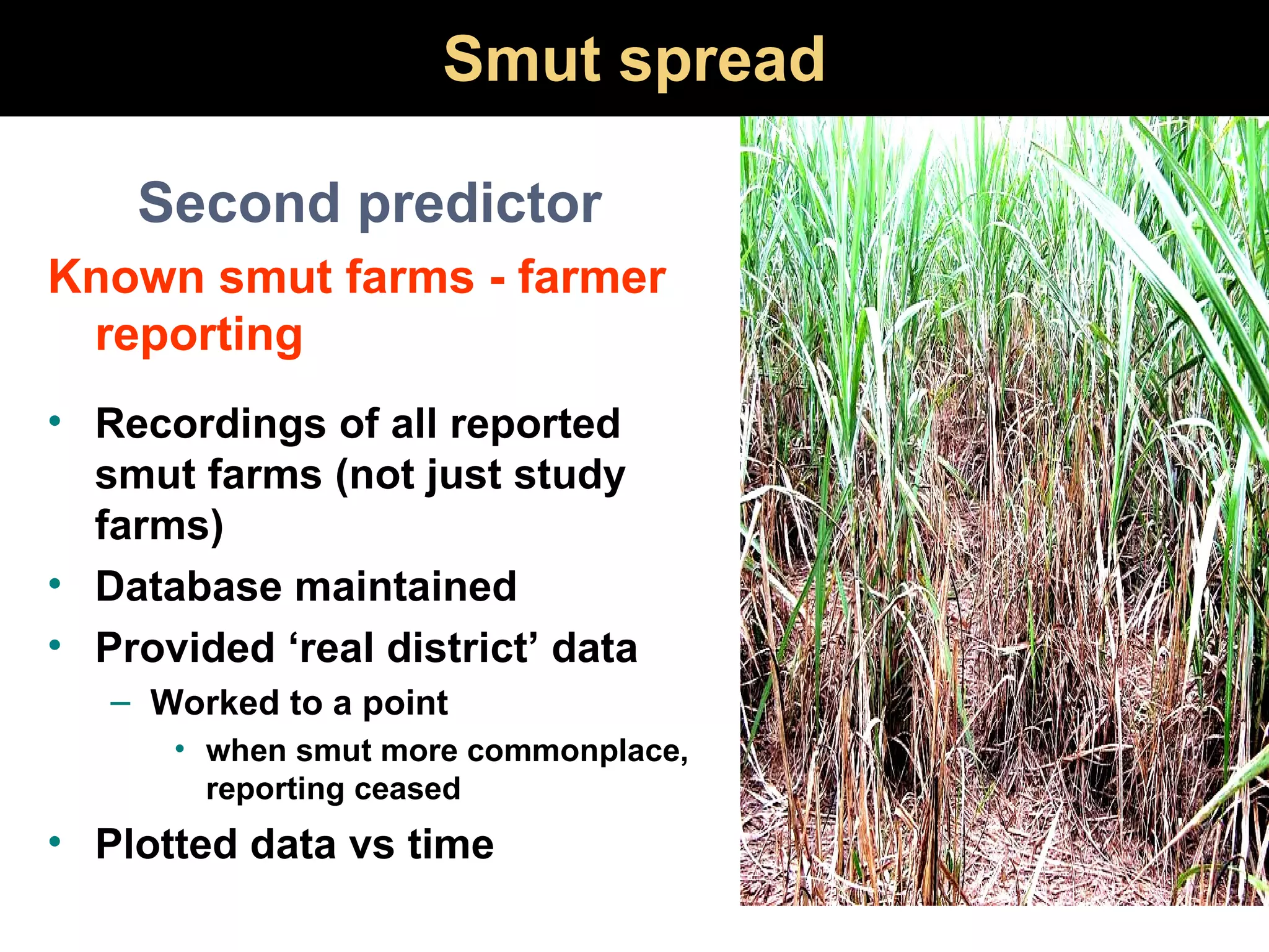 Smut spread Second predictor Known smut farms - farmer reporting Recordings of all reported smut farms (not just study farms) Database maintained Provided ‘real district’ data Worked to a point when smut more commonplace, reporting ceased Plotted data vs time 