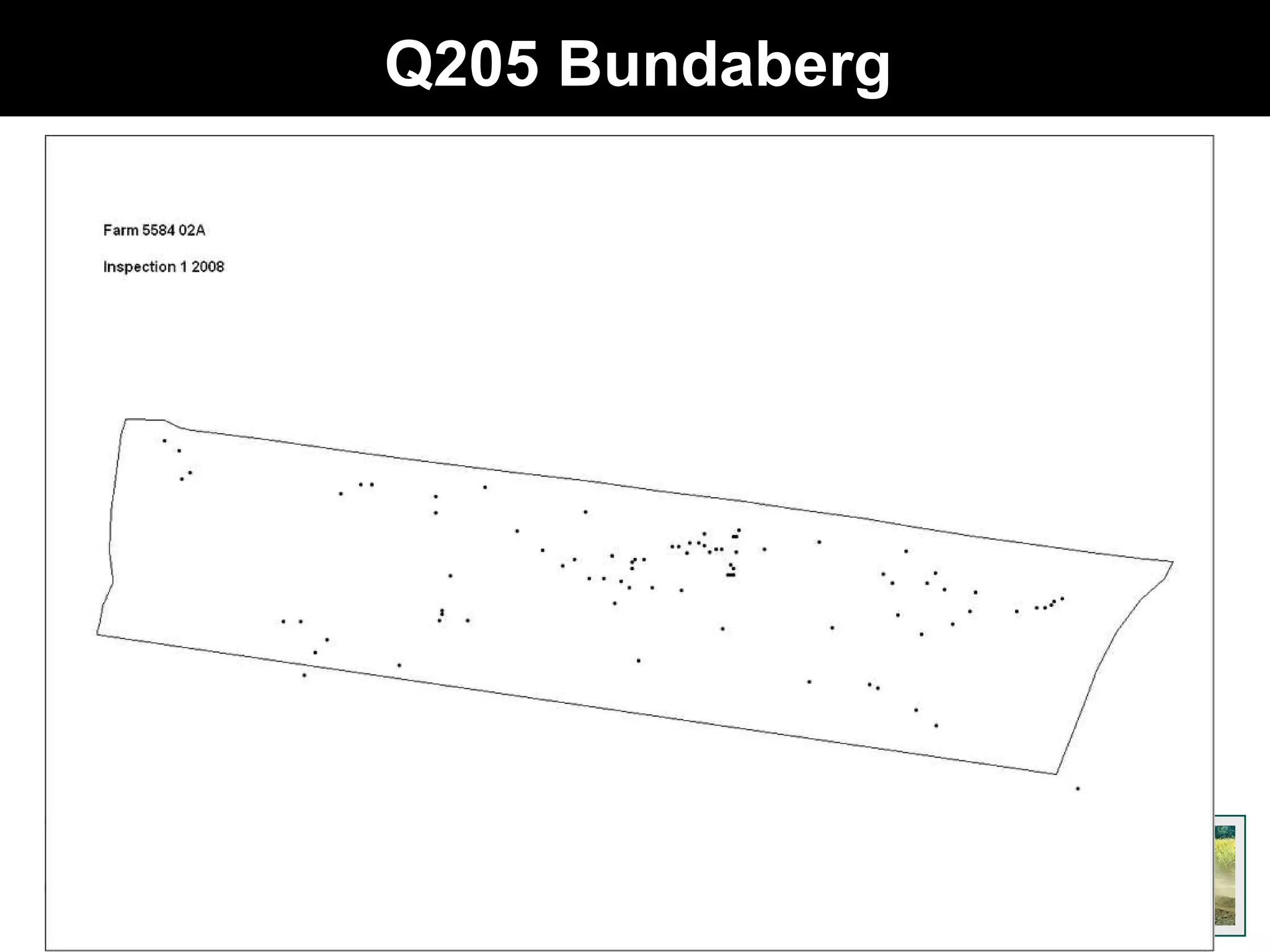 Q205 Bundaberg 