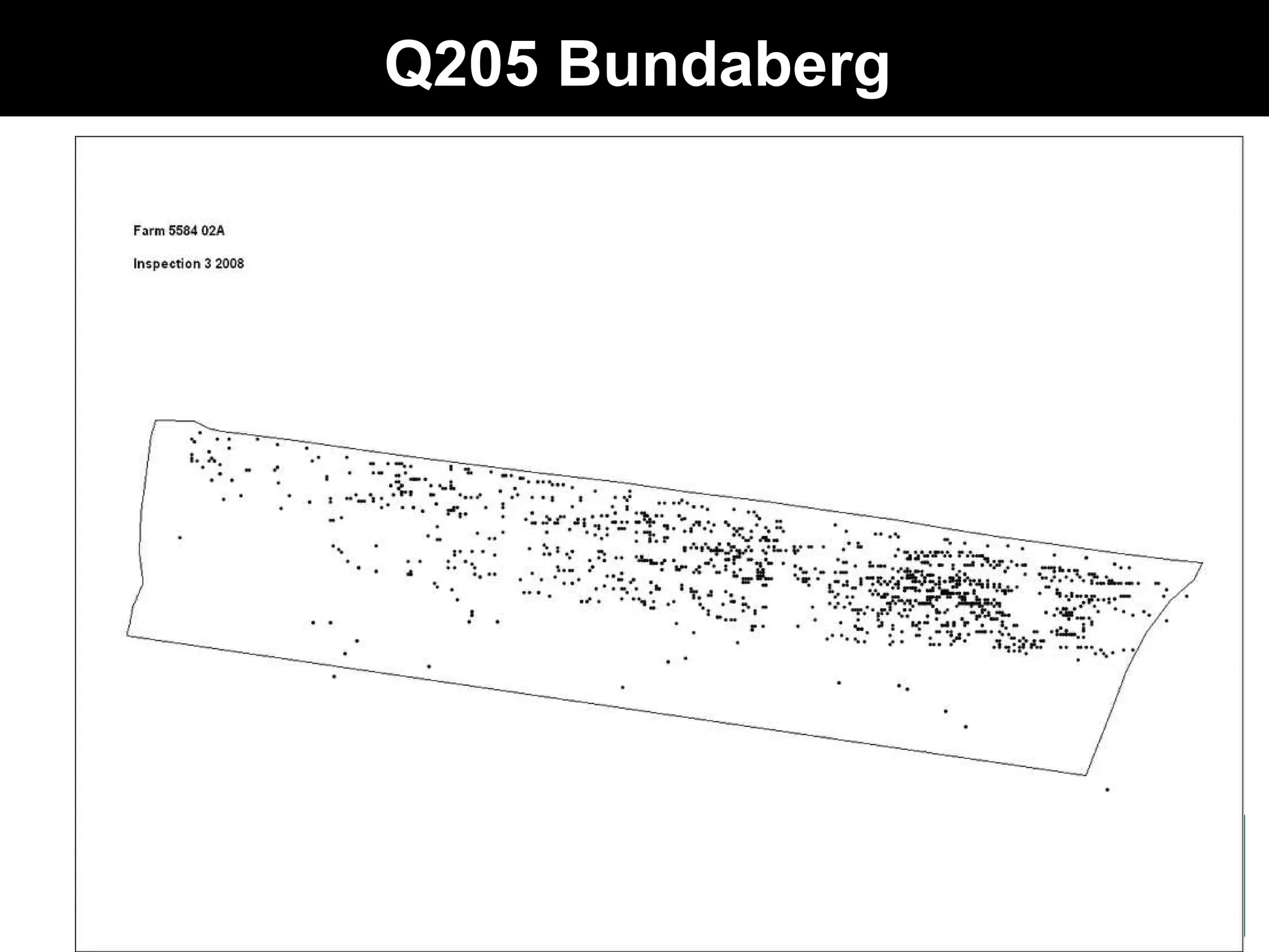 Q205 Bundaberg 