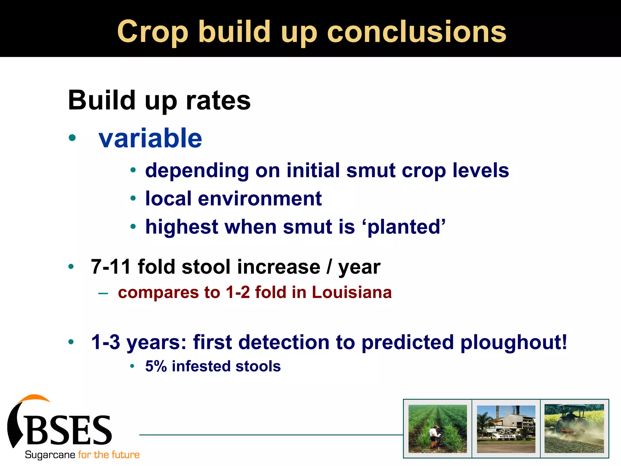 Crop build up conclusions Build up rates variable depending on initial smut crop levels local environment highest when smut is ‘planted’ 7-11 fold stool increase / year compares to 1-2 fold in Louisiana 1-3 years: first detection to predicted ploughout! 5% infested stools 
