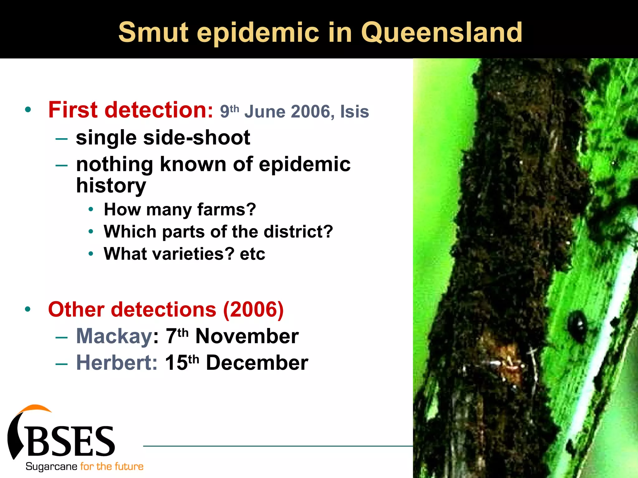 Smut epidemic in Queensland First detection :  9 th  June 2006, Isis single side-shoot nothing known of epidemic history How many farms? Which parts of the district? What varieties? etc Other detections (2006) Mackay : 7 th  November  Herbert:  15 th  December  