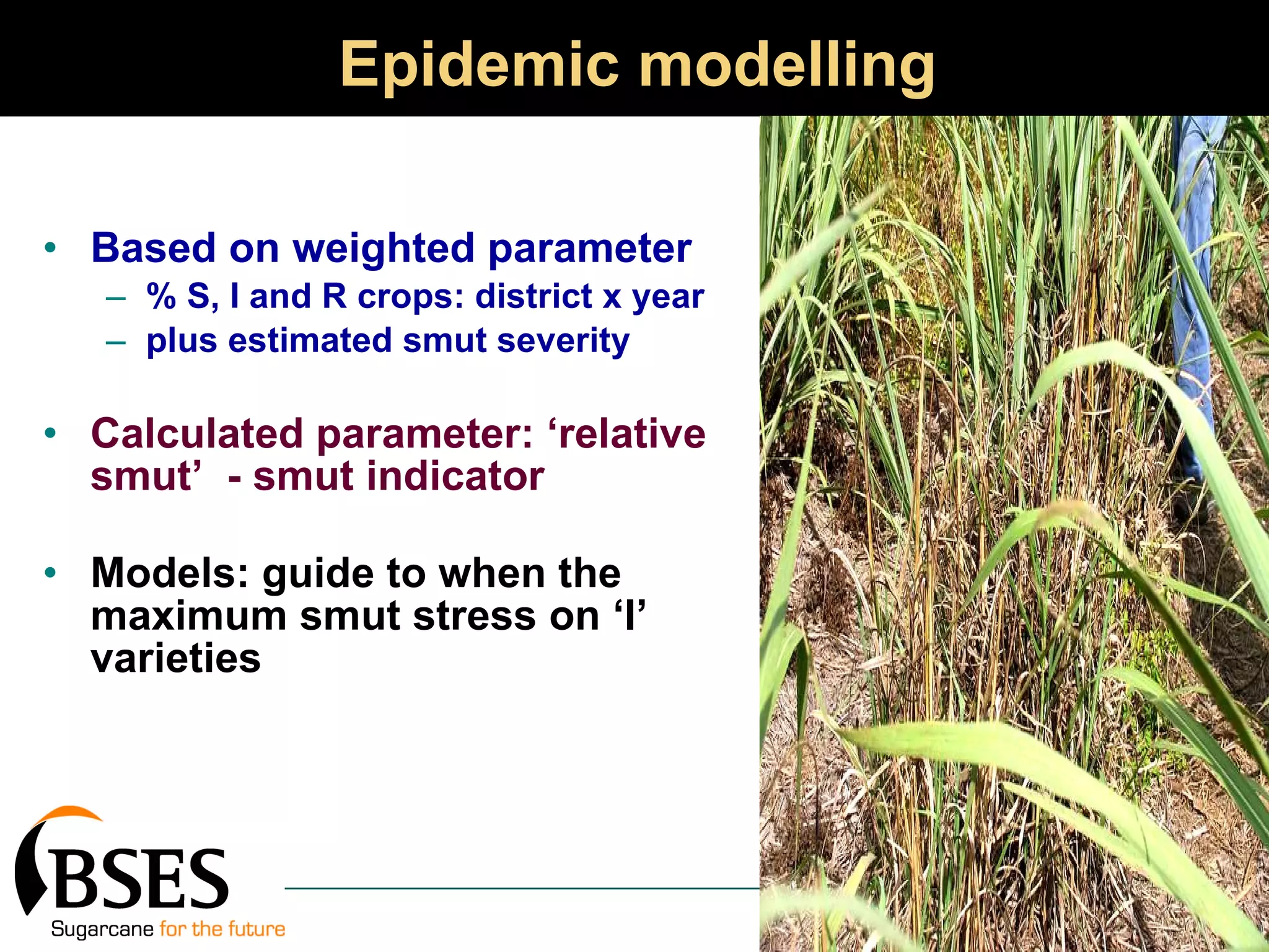 Epidemic modelling Based on weighted parameter % S, I and R crops: district x year plus estimated smut severity  Calculated parameter: ‘relative smut’  - smut indicator  Models: guide to when the maximum smut stress on ‘I’ varieties 