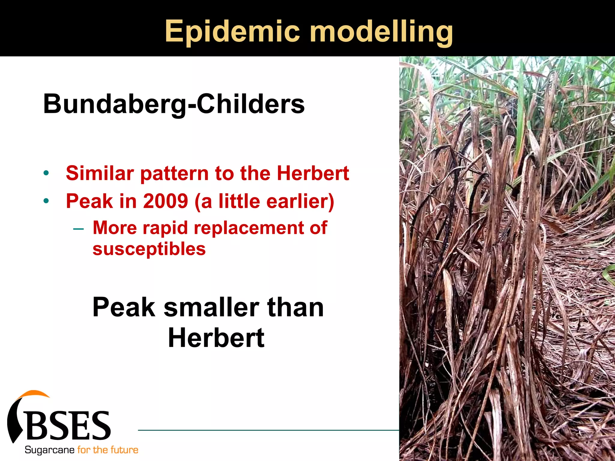 Epidemic modelling Bundaberg-Childers Similar pattern to the Herbert Peak in 2009 (a little earlier) More rapid replacement of susceptibles Peak smaller than Herbert  