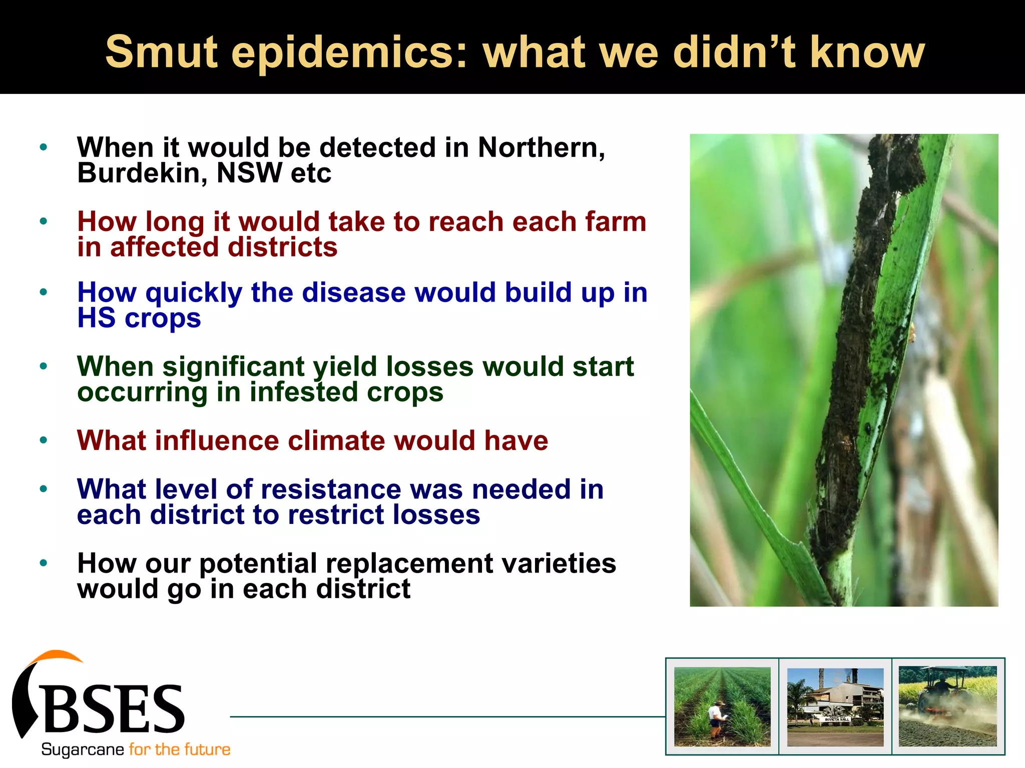 Smut epidemics: what we didn’t know When it would be detected in Northern, Burdekin, NSW etc How long it would take to reach each farm in affected districts How quickly the disease would build up in HS crops When significant yield losses would start occurring in infested crops What influence climate would have What level of resistance was needed in each district to restrict losses How our potential replacement varieties would go in each district 