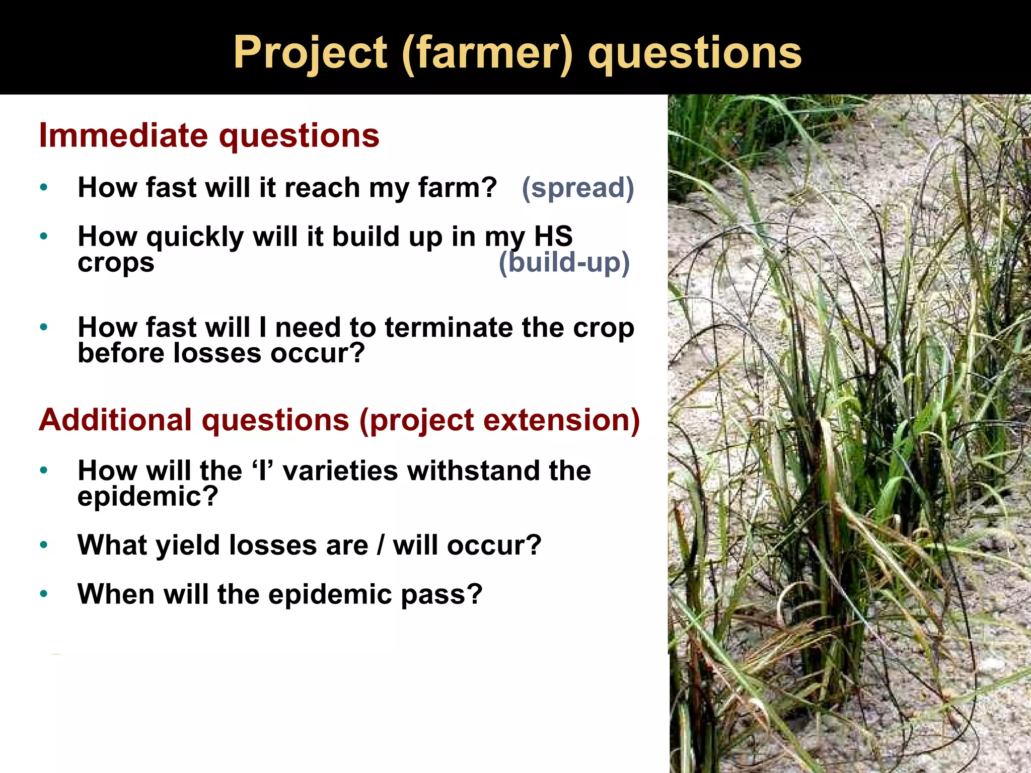 Project (farmer) questions Immediate questions How fast will it reach my farm?  (spread) How quickly will it build up in my HS crops    (build-up) How fast will I need to terminate the crop before losses occur? Additional questions (project extension) How will the ‘I’ varieties withstand the epidemic? What yield losses are / will occur? When will the epidemic pass? 