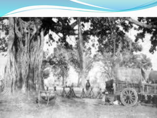 Forest society and colonialism | PPTX