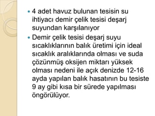 4 adet havuz bulunan tesisin su ihtiyacı demir çelik tesisi deşarj suyundan karşılanıyorDemir çelik tesisi deşarj suyu sıcaklıklarının balık üretimi için ideal sıcaklık aralıklarında olması ve suda çözünmüş oksijen miktarı yüksek olması nedeni ile açık denizde 12-16 ayda yapılan balık hasatınınbu tesiste 9 ay gibi kısa bir sürede yapılması öngörülüyor.