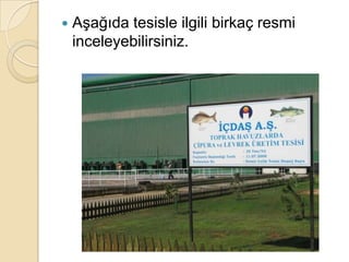 Aşağıda tesisle ilgili birkaç resmi inceleyebilirsiniz.