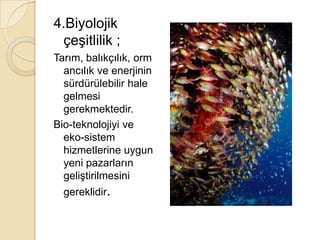 4.Biyolojik çeşitlilik ;Tarım, balıkçılık, ormancılık ve enerjinin sürdürülebilir hale gelmesi gerekmektedir.Bio-teknolojiyi ve eko-sistem hizmetlerine uygun yeni pazarların geliştirilmesini gereklidir.