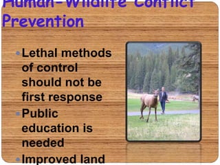Human-Wildlife Conflict
Prevention
 Lethal methods of
control should
not be first
response
 Public education
is needed
...