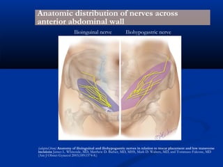 Anatomic distribution of nerves across
anterior abdominal wall
Ilioinguinal nerve

Iliohypogastric nerve

(adapted from) Anatomy of ilioinguinal and iliohypogastric nerves in relation to trocar placement and low transverse
incisions James L. Whiteside, MD, Matthew D. Barber, MD, MHS, Mark D. Walters, MD, and Tommaso Falcone, MD
(Am J Obstet Gynecol 2003;189:1574-8.)

 