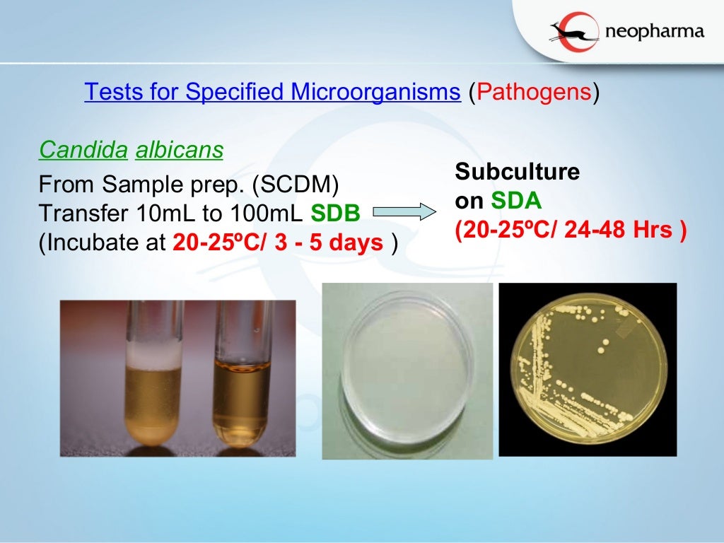 Microbial Limit Test An Over view