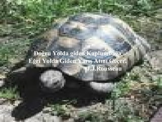 Doğru Yolda giden Kaplumbağa
Eğri Yolda Giden Yarış Atını Geçer.
                    J.J.Rousseau




                                      26
 