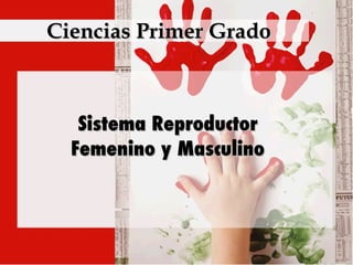 Ciencias Primer Grado Sistema Reproductor Femenino y Masculino 