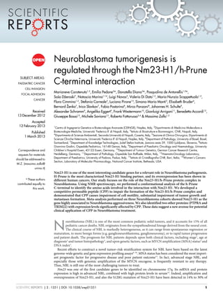 Neuroblastoma tumorigenesis is
regulated through the Nm23-H1/h-Prune
C-terminal interaction
Marianeve Carotenuto1,2
, Emilia Pedone3
*, Donatella Diana3
*, Pasqualino de Antonellis1,2
*,
Sasˇo Dzˇeroski7
, Natascia Marino1,14
, Luigi Navas5
, Valeria Di Dato1,2
, Maria Nunzia Scoppettuolo1,2
,
Flora Cimmino1,2
, Stefania Correale3
, Luciano Pirone13
, Simona Maria Monti3
, Elisabeth Bruder6
,
Bernard Zˇenko7
, Ivica Slavkov7
, Fabio Pastorino8
, Mirco Ponzoni8
, Johannes H. Schulte9
,
Alexander Schramm9
, Angelika Eggert9
, Frank Westermann10
, Gianluigi Arrigoni11
, Benedetta Accordi12
,
Giuseppe Basso12
, Michele Saviano13
, Roberto Fattorusso3,4
& Massimo Zollo1,2
1
Centro di Ingegneria Genetica e Biotecnologie Avanzate (CEINGE), Naples, Italy, 2
Dipartimento di Medicina Molecolare e
Biotecnologie Mediche, Universita` ‘Federico II’ di Napoli, Italy, 3
Istituto di Biostrutture e Bioimmagini, CNR, Napoli, Italy,
4
Dipartimento di Scienze Ambientali, Seconda Universita` di Napoli, Caserta, Italy, 5
Sezione di Clinica Chirurgica, Dipartimento di
Scienze Cliniche Veterinarie, Universita` ‘Federico II’ di Napoli, Naples, Italy, 6
Department of Pathology, University of Basel, Basel,
Switzerland, 7
Department of Knowledge Technologies, Jozˇef Stefan Institute, Jamova cesta 39, 1000 Ljubljana, Slovenia, 8
Istituto
Giannina Gaslini, Ospedale Pediatrico, 16148 Genoa, Italy, 9
Department of Paediatric Oncology and Haematology, University
Children’s Hospital Essen, 45122 Essen, Germany, 10
Department of Tumour Genetics, German Cancer Research Centre,
Heidelberg, Germany, 11
Department of Pathology, Ospedale San Raffaele, Milan, Italy, 12
Haemato-Oncology Laboratory,
Department of Paediatrics, University of Padova, Padua, Italy, 13
Istituto di Cristallografia CNR, Bari, Italia, 14
Women’s Cancers
Section, Laboratory of Molecular Pharmacology, National Cancer Institute, Bethesda, USA.
Nm23-H1 is one of the most interesting candidate genes for a relevant role in Neuroblastoma pathogenesis.
H-Prune is the most characterized Nm23-H1 binding partner, and its overexpression has been shown in
different human cancers. Our study focuses on the role of the Nm23-H1/h-Prune protein complex in
Neuroblastoma. Using NMR spectroscopy, we performed a conformational analysis of the h-Prune
C-terminal to identify the amino acids involved in the interaction with Nm23-H1. We developed a
competitive permeable peptide (CPP) to impair the formation of the Nm23-H1/h-Prune complex and
demonstrated that CPP causes impairment of cell motility, substantial impairment of tumor growth and
metastases formation. Meta-analysis performed on three Neuroblastoma cohorts showed Nm23-H1 as the
gene highly associated to Neuroblastoma aggressiveness. We also identified two other proteins (PTPRA and
TRIM22) with expression levels significantly affected by CPP. These data suggest a new avenue for potential
clinical application of CPP in Neuroblastoma treatment.
N
euroblastoma (NBL) is one of the most common pediatric solid tumors, and it accounts for 15% of all
pediatric cancer deaths. NBL originates from the sympathoadrenal lineage derived from the neural crest.
The clinical course of NBL is markedly heterogeneous, as it can range from spontaneous regression or
maturation, to more benign forms (e.g, ganglioneuroblastoma, ganglioneuroma), or to rapid tumor progression
and patient death. The prognosis for NBL patients depends upon both clinical factors, including stage1
, age at
diagnosis2
and tumor histopathology3
, and upon genetic factors, such as MYCN amplification (MNA) status4
and
DNA index5
.
Recent efforts to construct a novel tumor–risk stratification system for NBL have been based on the latest
genome-wide genetic and gene expression profiling assays6–10
. MNA status has been considered the most import-
ant prognostic factor for progressive disease and poor patient outcome11
. In fact, advanced stage NBL, and
especially those with genomic amplification of the MYCN oncogene, is frequently resistant to any therapy.
Thus, NBL is still one of the most challenging tumors to treat.
Nm23 was one of the first candidate genes to be identified on chromosome 17q. Its mRNA and protein
expression is high in advanced NBL, combined with high protein levels in serum12
. Indeed, amplification and
overexpression of Nm23-H1, and also the S120G mutation of Nm23-H1 have been detected in 14% to 30% of
SUBJECT AREAS:
PAEDIATRIC CANCER
CELL INVASION
FOCAL ADHESION
CANCER
Received
13 December 2012
Accepted
12 February 2013
Published
1 March 2013
Correspondence and
requests for materials
should be addressed to
M.Z. (massimo.zollo@
unina.it)
* These authors
contributed equally to
this work.
SCIENTIFIC REPORTS | 3 : 1351 | DOI: 10.1038/srep01351 1
 