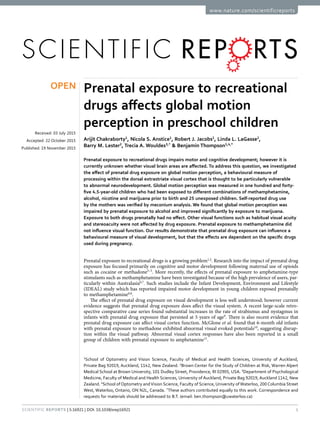 1Scientific Reports | 5:16921 | DOI: 10.1038/srep16921
www.nature.com/scientificreports
Prenatal exposure to recreational
drugs affects global motion
perception in preschool children
Arijit Chakraborty1
, Nicola S. Anstice1
, Robert J. Jacobs1
, Linda L. LaGasse2
,
Barry M. Lester2
, Trecia A. Wouldes3,*
& Benjamin Thompson1,4,*
Prenatal exposure to recreational drugs impairs motor and cognitive development; however it is
currently unknown whether visual brain areas are affected. To address this question, we investigated
the effect of prenatal drug exposure on global motion perception, a behavioural measure of
processing within the dorsal extrastriate visual cortex that is thought to be particularly vulnerable
to abnormal neurodevelopment. Global motion perception was measured in one hundred and forty-
five 4.5-year-old children who had been exposed to different combinations of methamphetamine,
alcohol, nicotine and marijuana prior to birth and 25 unexposed children. Self-reported drug use
by the mothers was verified by meconium analysis. We found that global motion perception was
impaired by prenatal exposure to alcohol and improved significantly by exposure to marijuana.
Exposure to both drugs prenatally had no effect. Other visual functions such as habitual visual acuity
and stereoacuity were not affected by drug exposure. Prenatal exposure to methamphetamine did
not influence visual function. Our results demonstrate that prenatal drug exposure can influence a
behavioural measure of visual development, but that the effects are dependent on the specific drugs
used during pregnancy.
Prenatal exposure to recreational drugs is a growing problem1,2
. Research into the impact of prenatal drug
exposure has focused primarily on cognitive and motor development following maternal use of opioids
such as cocaine or methadone3–5
. More recently, the effects of prenatal exposure to amphetamine-type
stimulants such as methamphetamine have been investigated because of the high prevalence of users, par-
ticularly within Australasia6,7
. Such studies include the Infant Development, Environment and Lifestyle
(IDEAL) study which has reported impaired motor development in young children exposed prenatally
to methamphetamine6,8
.
The effect of prenatal drug exposure on visual development is less well understood; however current
evidence suggests that prenatal drug exposure does affect the visual system. A recent large-scale retro-
spective comparative case series found substantial increases in the rate of strabismus and nystagmus in
infants with prenatal drug exposure that persisted at 5 years of age9
. There is also recent evidence that
prenatal drug exposure can affect visual cortex function. McGlone et al. found that 6-month old infants
with prenatal exposure to methadone exhibited abnormal visual evoked potentials10
, suggesting disrup-
tion within the visual pathway. Abnormal visual cortex responses have also been reported in a small
group of children with prenatal exposure to amphetamine11
.
1
School of Optometry and Vision Science, Faculty of Medical and Health Sciences, University of Auckland,
Private Bag 92019, Auckland, 1142, New Zealand. 2
Brown Center for the Study of Children at Risk, Warren Alpert
Medical School at Brown University, 101 Dudley Street, Providence, RI 02905, USA. 3
Department of Psychological
Medicine, Faculty of Medical and Health Sciences, University of Auckland, Private Bag 92019, Auckland 1142, New
Zealand. 4
School of Optometry andVision Science, Faculty of Science, University ofWaterloo, 200 Columbia Street
West, Waterloo, Ontario, ON N2L, Canada. *
These authors contributed equally to this work. Correspondence and
requests for materials should be addressed to B.T. (email: ben.thompson@uwaterloo.ca)
received: 03 July 2015
accepted: 22 October 2015
Published: 19 November 2015
OPEN
 