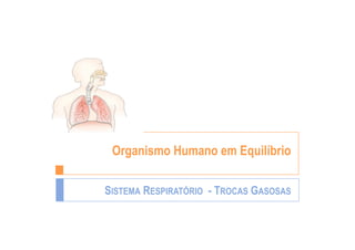 Organismo Humano em Equilíbrio

SISTEMA RESPIRATÓRIO - TROCAS GASOSAS
 